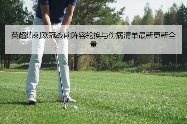 英超热刺欧冠战前阵容轮换与伤病清单最新更新全景